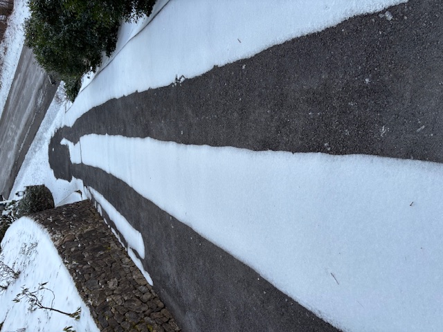 Snow-covered neighborhood street
