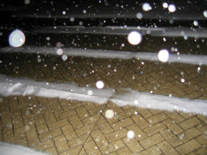 heated driveway in snowstorm MI