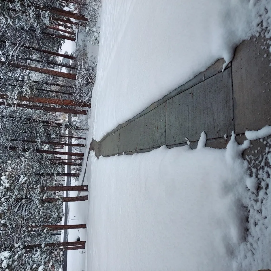 Heated Walkway